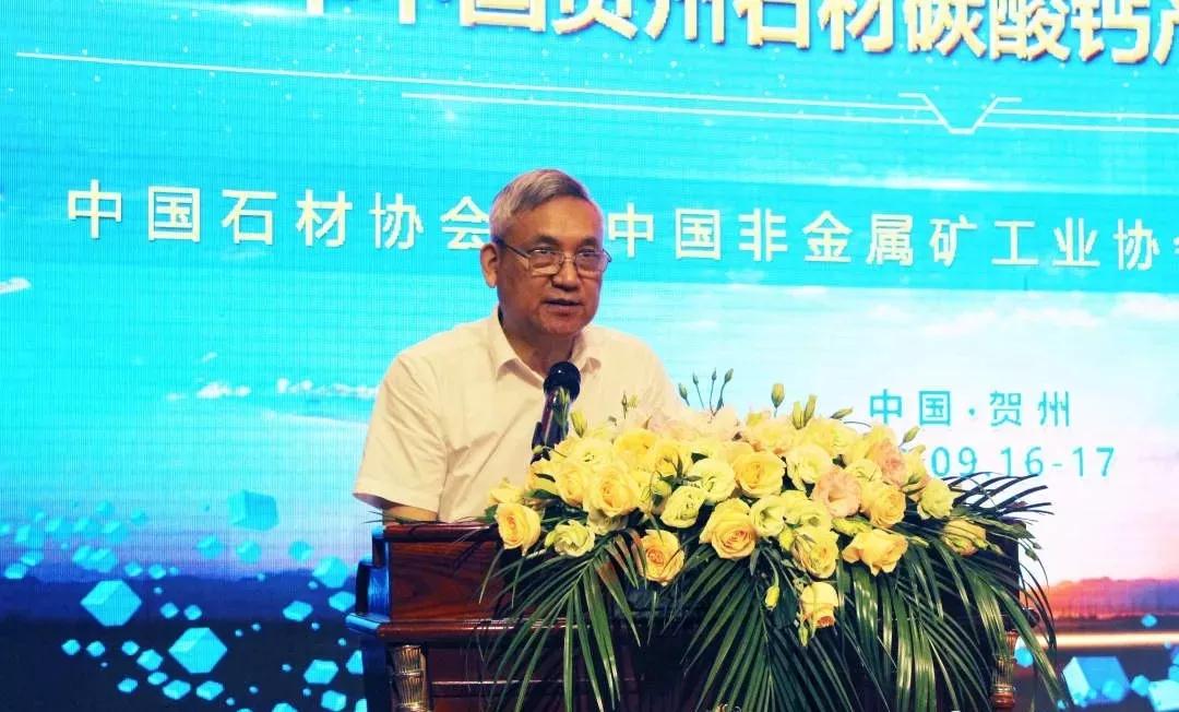 2018中国贺州石材碳酸钙产业技术交流大会开幕