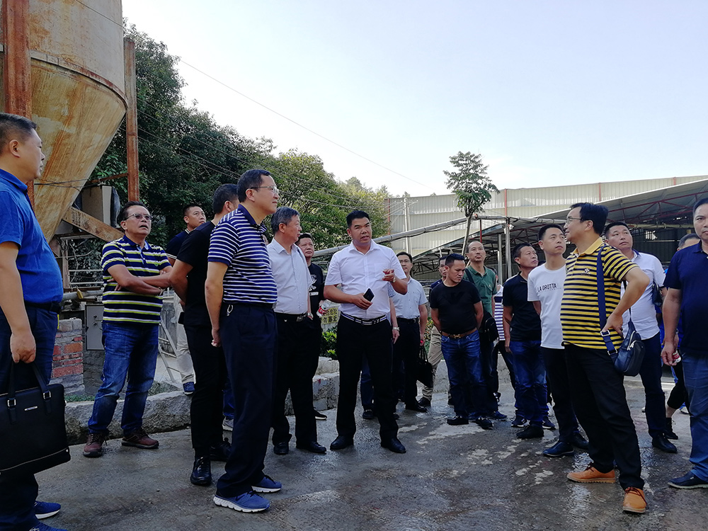 麻城市委常委、统战部部长戴昌远一行赴富强石材考察学习建设绿色矿山经验