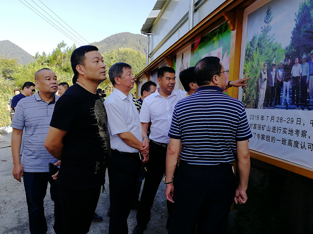 麻城市委常委、统战部部长戴昌远一行赴富强石材考察学习建设绿色矿山经验
