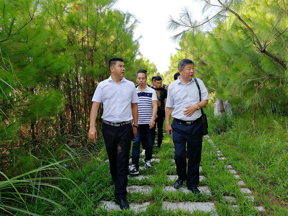 麻城市委常委、统战部部长戴昌远一行赴富强石材考察学习建设绿色矿山经验