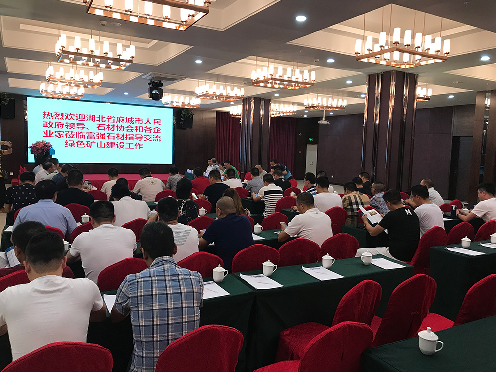 麻城市委常委、统战部部长戴昌远一行赴富强石材考察学习建设绿色矿山经验