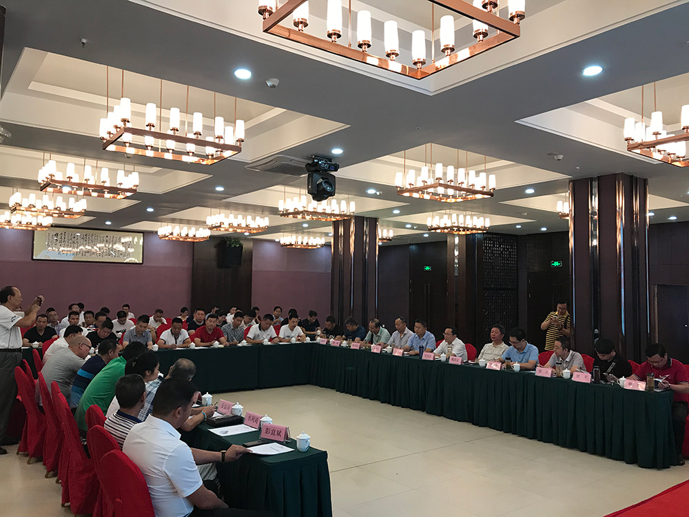 麻城市委常委、统战部部长戴昌远一行赴富强石材考察学习建设绿色矿山经验
