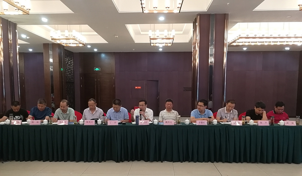 麻城市委常委、统战部部长戴昌远一行赴富强石材考察学习建设绿色矿山经验