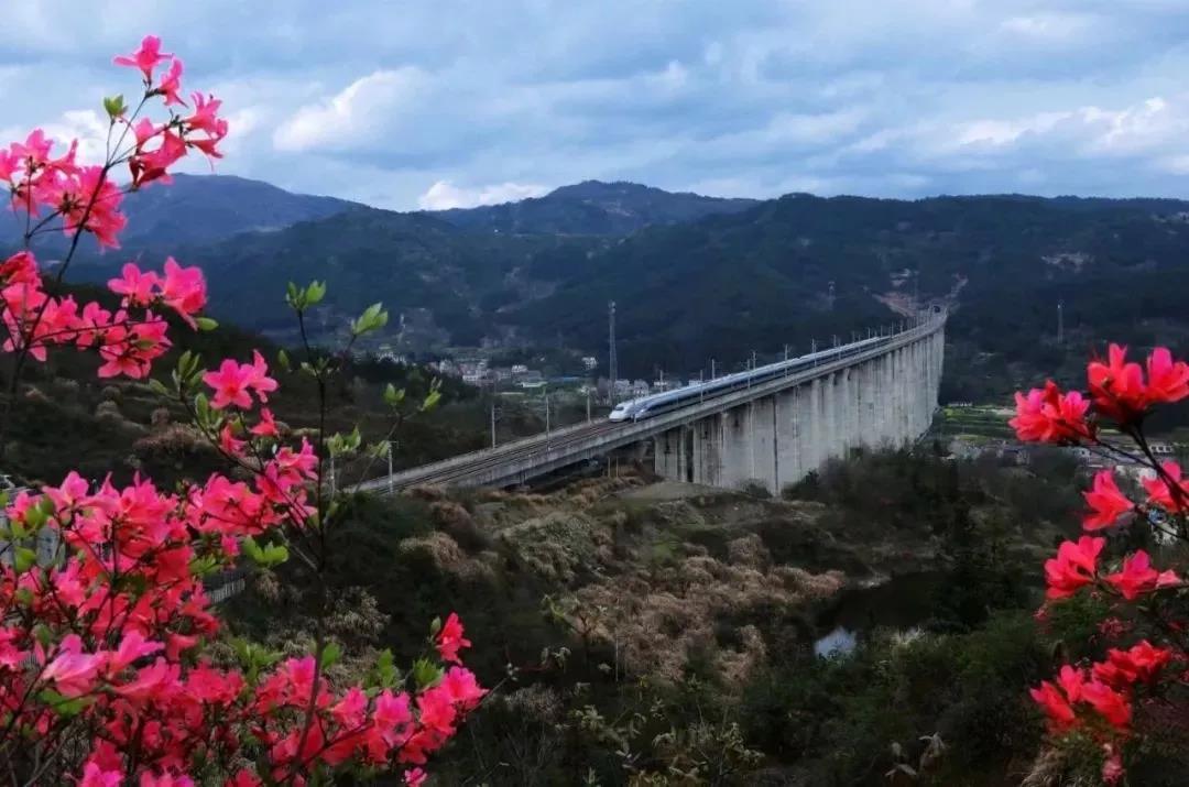 进川物流公司助力麻城夺“全国百强”